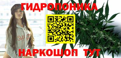 сатива Шебекино