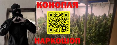 сатива Шебекино