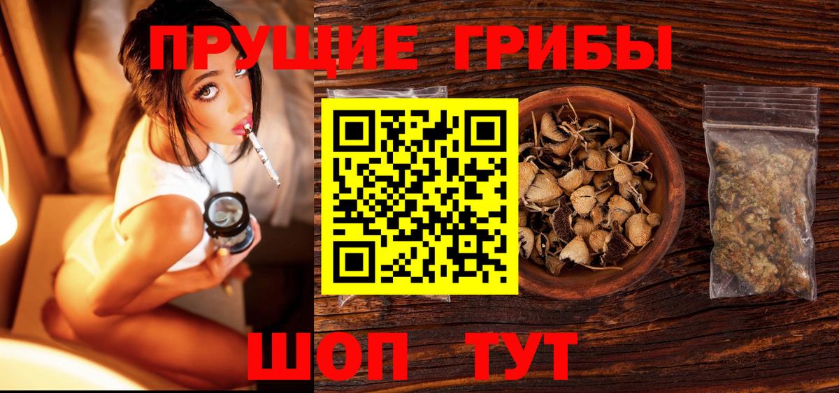 Югорск  Галлюциногенные грибы MAGIC MUSHROOMS  Вход с VPN  сколько стоит  Галлюциногенные грибы мицелий 